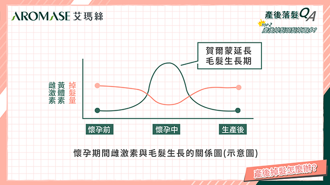 沒有懷孕的妳也一定要認識的產後落髮！ 突然大量掉髮怎麼辦？你是不是也得了「產後掉髮恐慌症」 | 𝗔𝗥𝗢𝗠𝗔𝗦𝗘.𝗛𝗞 4